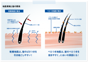 皮脂による頭皮の汚れ