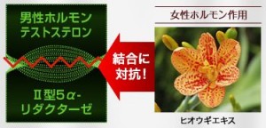 ヒオウギエキスの５α-リダクターゼ抑制作用