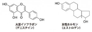 女性の薄毛にはイソフラボンが有効