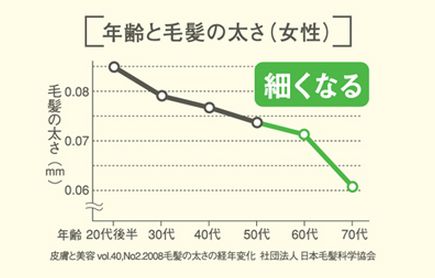 女性の髪の毛の加例に伴う変化