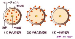 カラーリングは髪の毛にダメージを与える