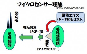 M-1育毛ミストのマイクロセンサー理論