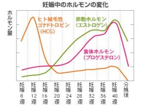 妊娠中のホルモン変化と薄毛