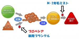 薬用プランテルはAGAの育毛剤