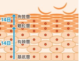 頭皮が乾燥しすぎるとかゆい