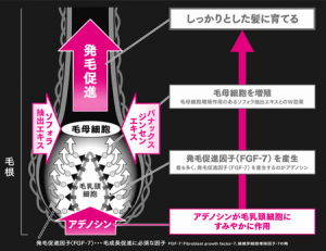 薬用アデノゲンの効果