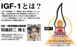 ガムを噛むとIGF-1が増えて育毛対策に有効です