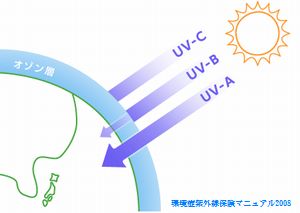 紫外線は髪の毛に悪い