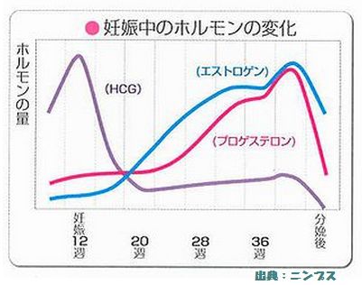 産後脱毛の原因