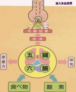 薄毛と漢方