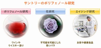 ポリフェノールは薄毛の原因となる活性酸素を除去します