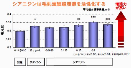 ポリフェノールの作用