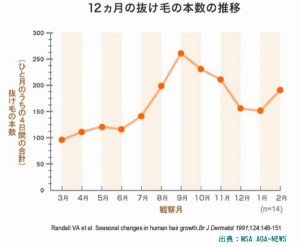 夏に有効な5つの薄毛対策をしないと秋に抜け毛が増えます