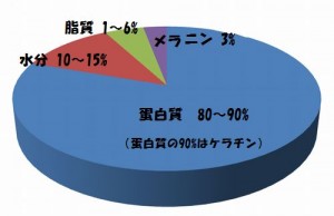 髪の毛の成分と構造を理解してください