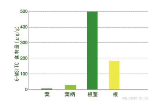 本わさびは血流を改善して育毛を促進する