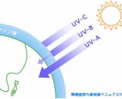 紫外線は髪の毛に悪い