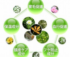 マイナチュレは植物エキスで産後脱毛に有効