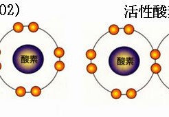 活性酸素は老化や薄毛の原因です