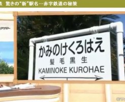 ｢かみのけくろはえ｣は銚子電鉄の髪毛黒生の駅名