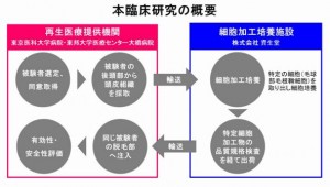 資生堂が頭髪再生医療の臨床試験の概要