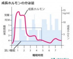 睡眠の質が睡眠時間よりも薄毛解消に重要です