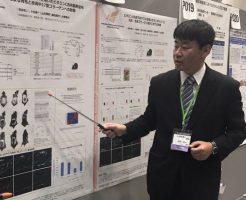 本当に育毛効果があるというビタブリッドCの科学的根拠