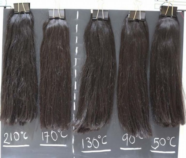 髪の毛 サンプル