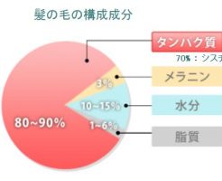 sシスチンは薄毛対策には必須です