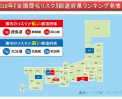 大分県は薄毛のリスクが高い