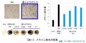 黒ショウガエキスは白髪を抑制するとリーブ21が発表